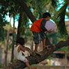 kids playing in tree