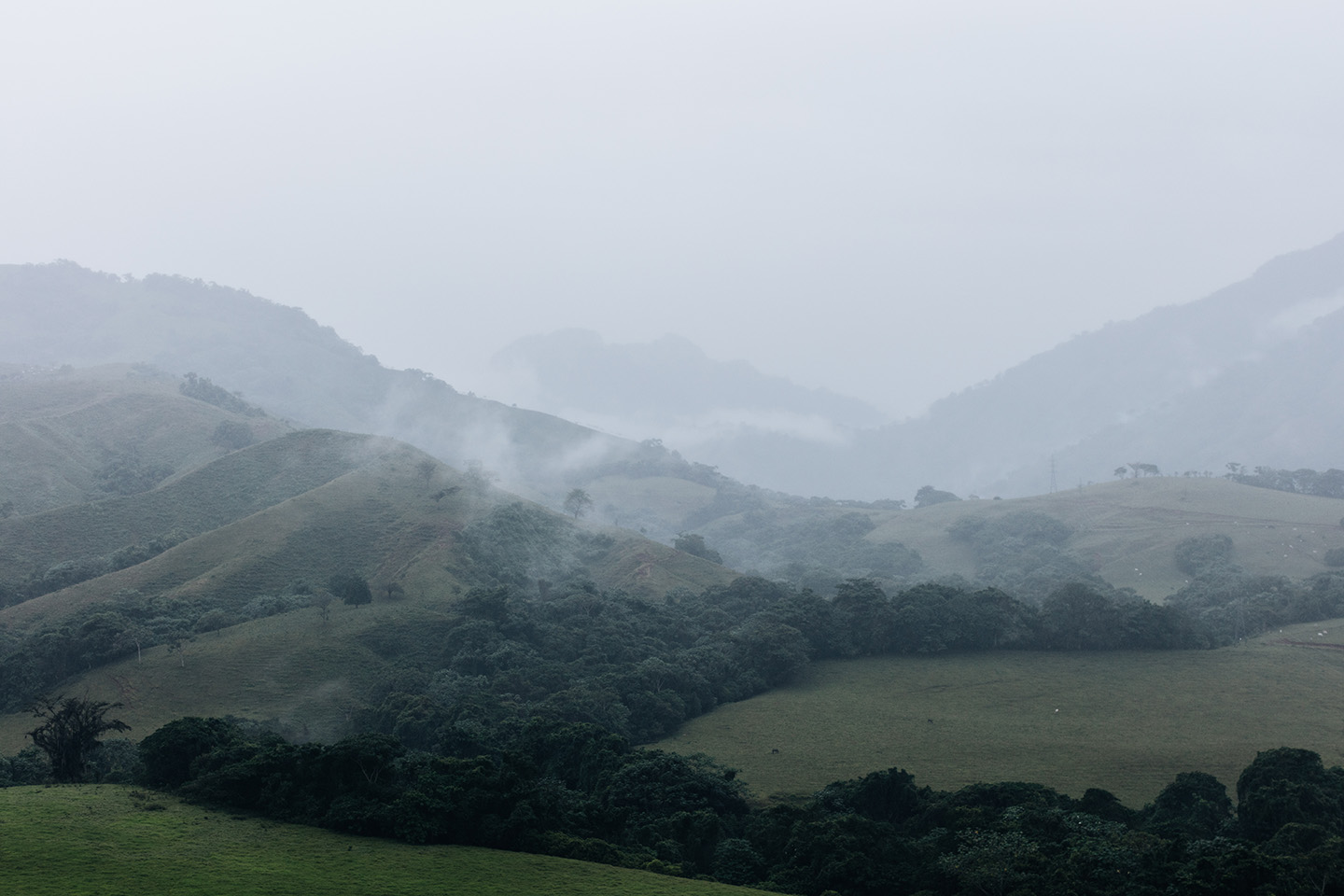 foggy mountainside